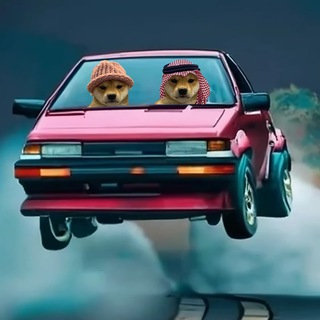 Telegram profile photo for DogWifDrift - $DRIFT