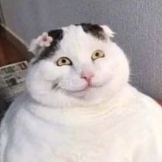 Telegram profile photo for BASEMENT
