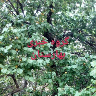 Telegram profile photo for گروه خبری بهارستان