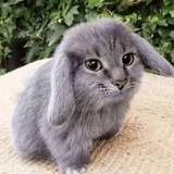 Telegram profile photo for вечно актуальный тг