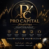 Telegram profile photo for PRO CAPITAL | برو كابيتال 💰📊