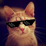Telegram profile photo for КоТ