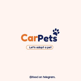 Telegram profile photo for Carpets