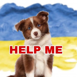 Telegram profile photo for 🆘🐾ANIMALS / Київ