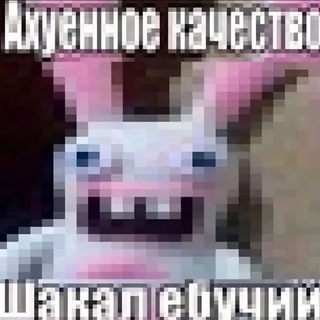 Telegram profile photo for nortrade