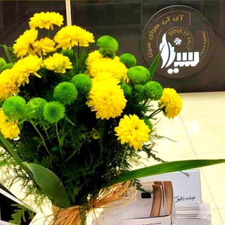Telegram profile photo for آی تی سرای سینا