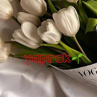 Telegram profile photo for 𝐘𝐚𝐩𝐫𝐚𝐤_𝐓𝐮𝐫𝐤𝐦 | یاپراک ترکمن🌱