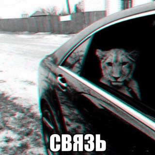 Telegram profile photo for Поляна оффника⚜️