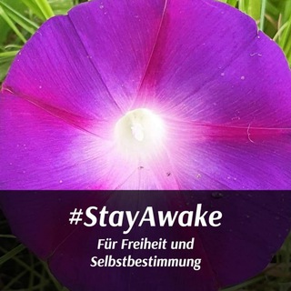 Telegram group profile photo for StayAwakeDEChat