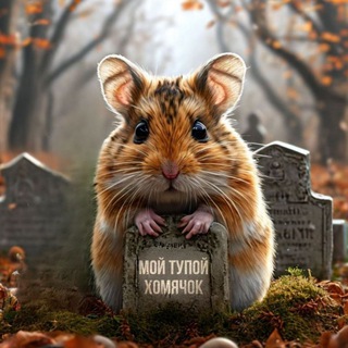 Telegram profile photo for надгробье моего тупого хомяка