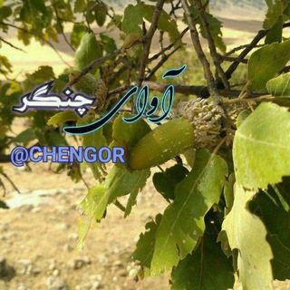 Telegram profile photo for گروه آوای چنگر