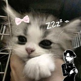 Telegram profile photo for 🐾Саша тут🐾