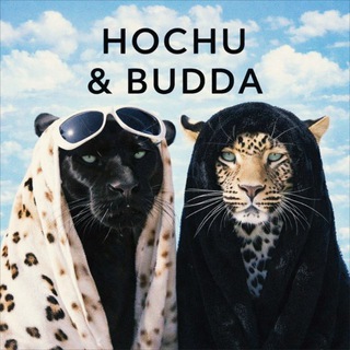 Telegram profile photo for Hochu & Budda