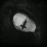 Telegram profile photo for Bandit