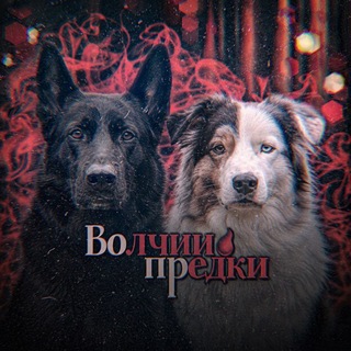 Telegram profile photo for 🍷Племя Волчих наследников 🩸