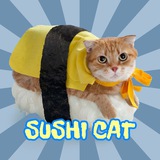 Telegram profile photo for sushicat_solana
