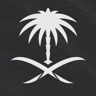 Telegram profile photo for ๐๐๐๐ฎ๐ฅ๐๐ณ๐ข๐ณ