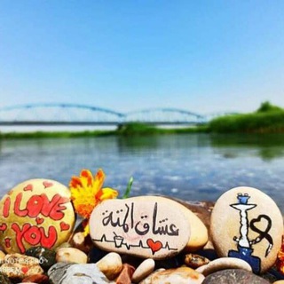 Telegram profile photo for عشّاق المتة🌿🌱