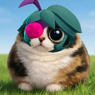 Telegram profile photo for Жена Анджело