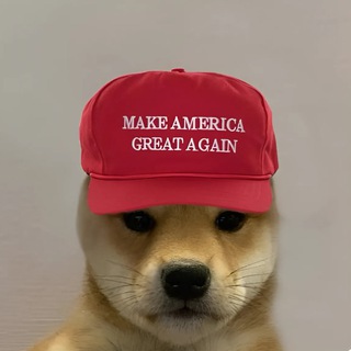 Telegram profile photo for dogwifmaga - $WIFMAGA | Solana
