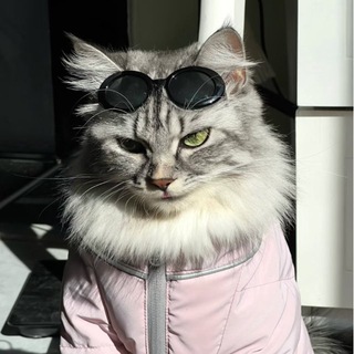 Telegram profile photo for 色粉最后的绝唱