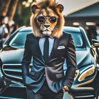 Telegram profile photo for Ilya Media