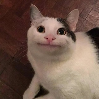 Telegram profile photo for Тру смешнявки