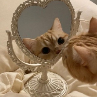 Telegram profile photo for مِ