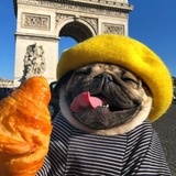 Telegram profile photo for Just me.