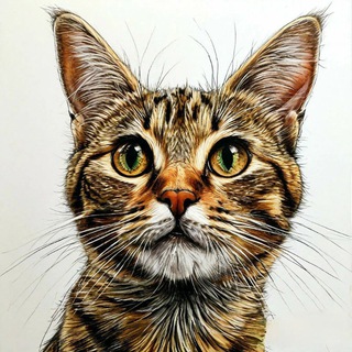 Telegram profile photo for Мир мурчащих котов