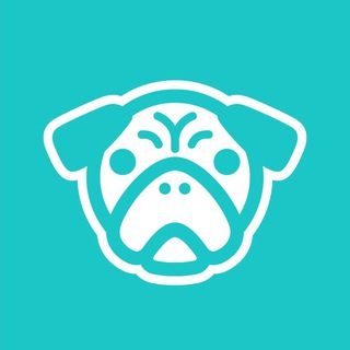 Telegram profile photo for WAF WAF