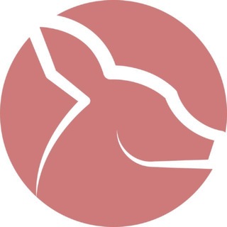 Telegram profile photo for Modasoo