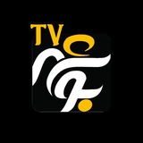 Telegram profile photo for 📺 بوشهر تی وی - Bushehr_tv