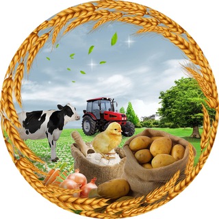 Telegram profile photo for ФЕРМЕРСКИЙ РЫНОК ДНР ЛНР СЕЛЬХОЗ ОБЪЯВЛЕНИЯ