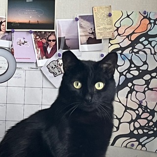 Telegram profile photo for Наташа живет