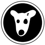 Telegram profile photo for ایردراپ | دیلی کامبو | Airdrop