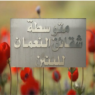 Telegram profile photo for متوسطة شقائق النعمان/النجف الاشرف/الحيره