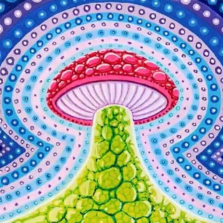 Telegram profile photo for Radio la-la Hallucinogen🎼👽📺