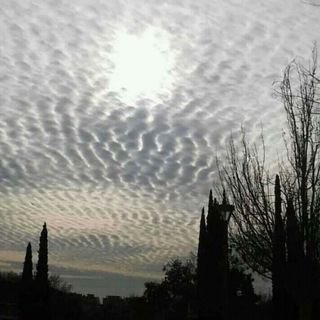 Telegram profile photo for Chemtrails/Haarp/Wettermanipulation