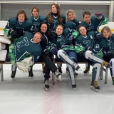 Telegram profile photo for В танке только девушки🏒