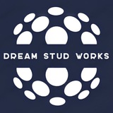 Telegram profile photo for dreamSTUDworks