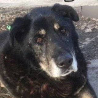 Telegram profile photo for притон кирилла