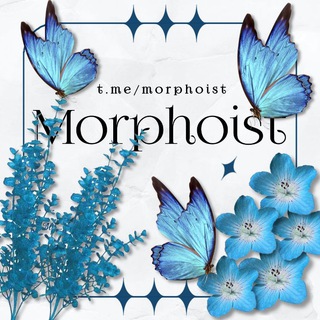 Telegram profile photo for Morphoist, closedown.