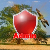 Telegram profile photo for JB debug