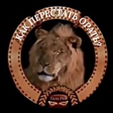 Telegram profile photo for Как перестать орать?!