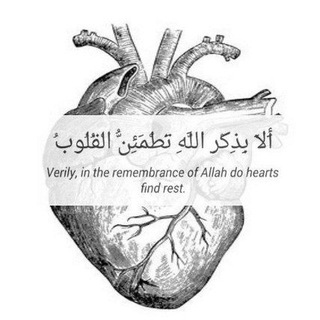 Telegram profile photo for التَّوْبَة