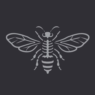 Telegram profile photo for «Поле́сские пчёлы»