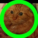 Telegram profile photo for Cat☄