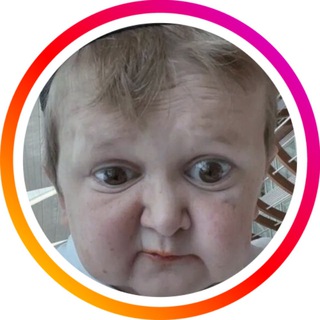 Telegram profile photo for КРУГЛЯШИКИ