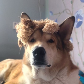 Telegram profile photo for Айзек